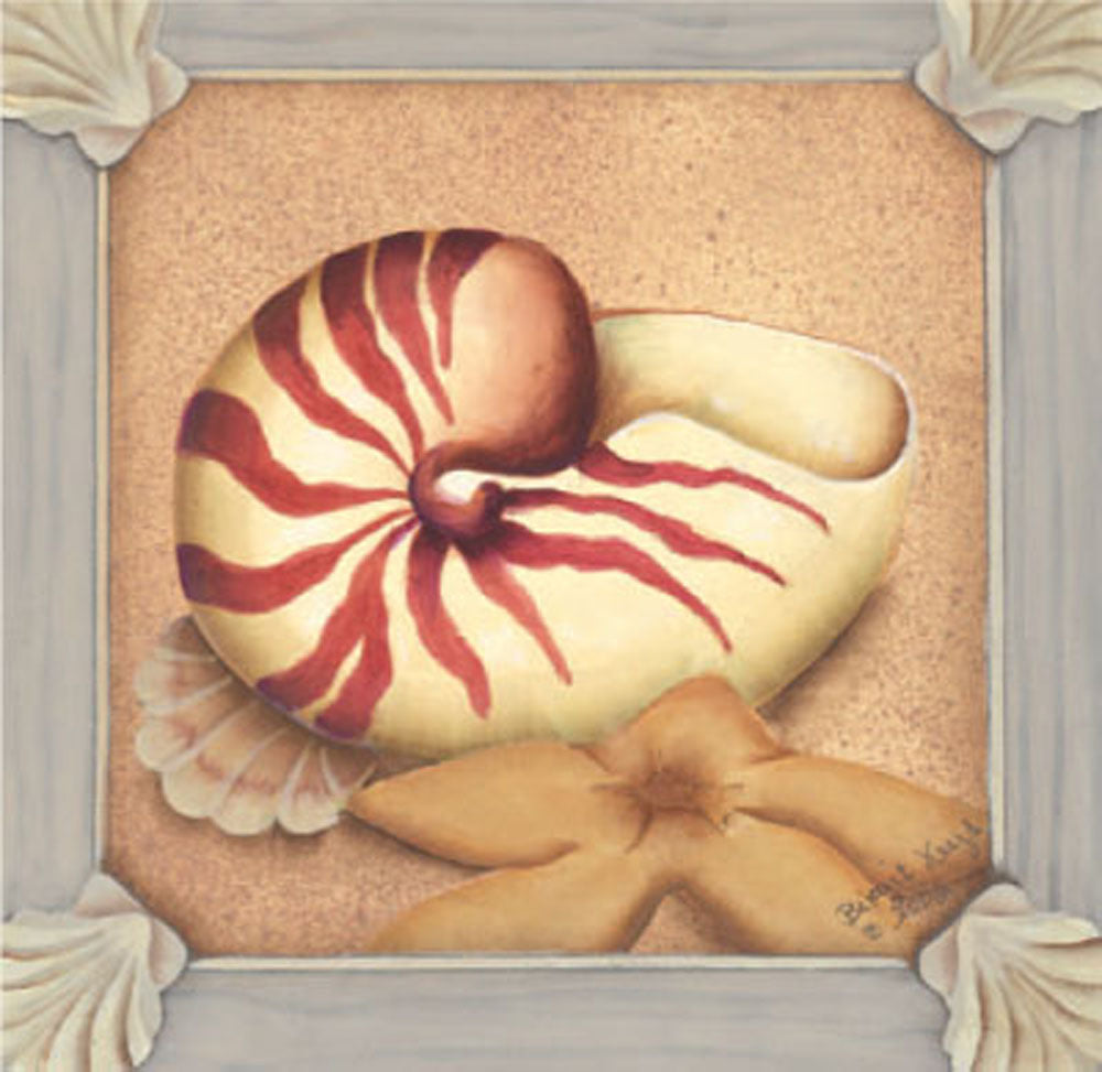 SKU : 02021 - Nautilus Shell - Magnetic Bookmark
