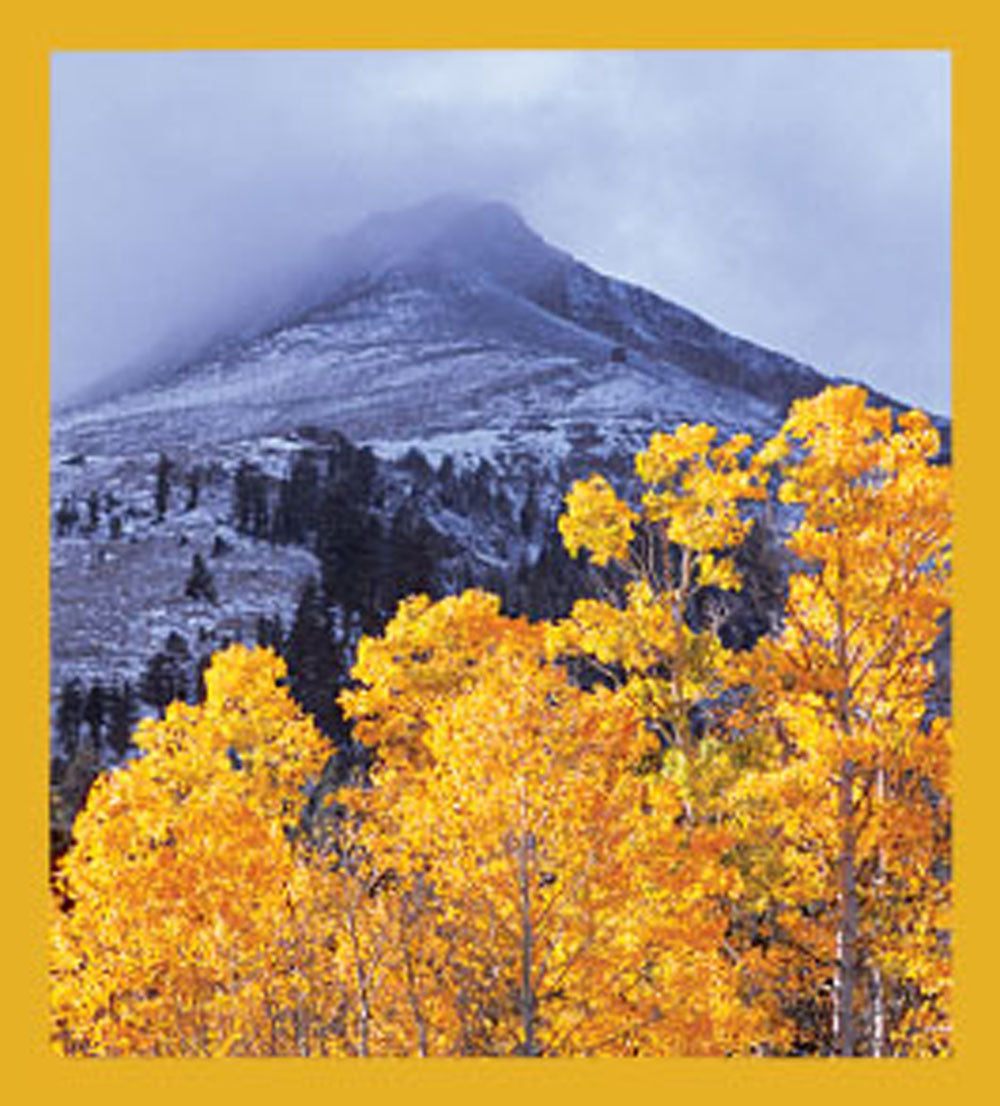 SKU : 06045 - When Winter Meets Fall - Magnetic Bookmark