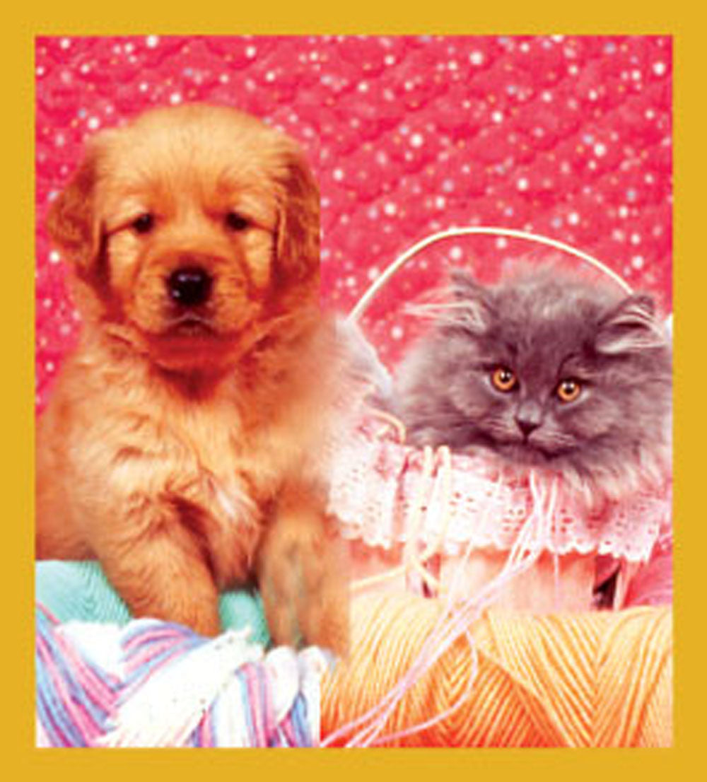 SKU : 06258 - We Are Cute! - Magnetic Bookmark