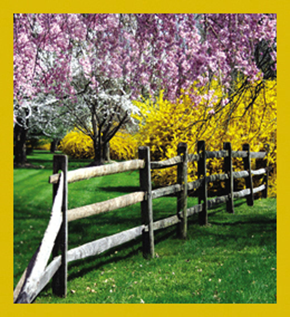 SKU : 07128 - Spring Has Sprung - Magnetic Bookmark
