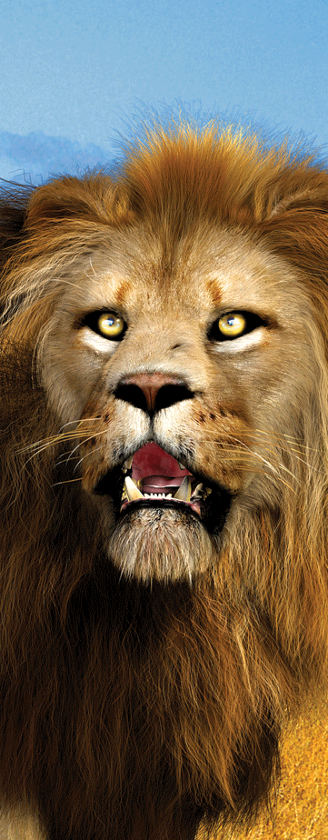 SKU : 16281 - King of the Jungle - Motion Bookmark