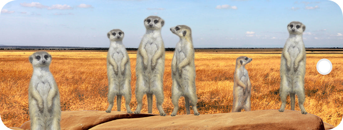 SKU : 16887 - Meerkats - Motion Bookmark