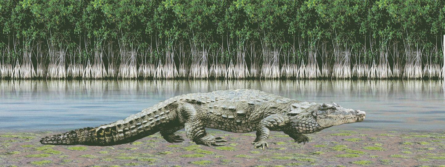SKU : 932 - Crocodile - Motion Bookmark/ 6" Ruler