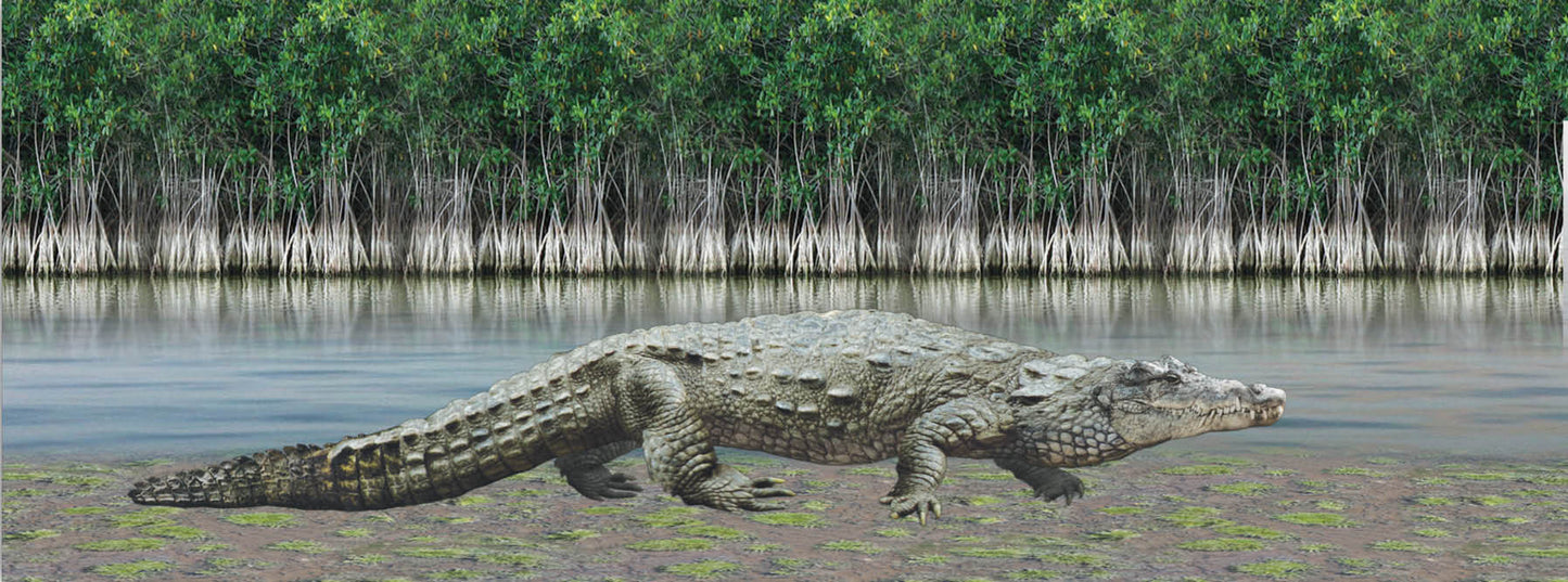 SKU : 932 - Crocodile - Motion Bookmark/ 6" Ruler