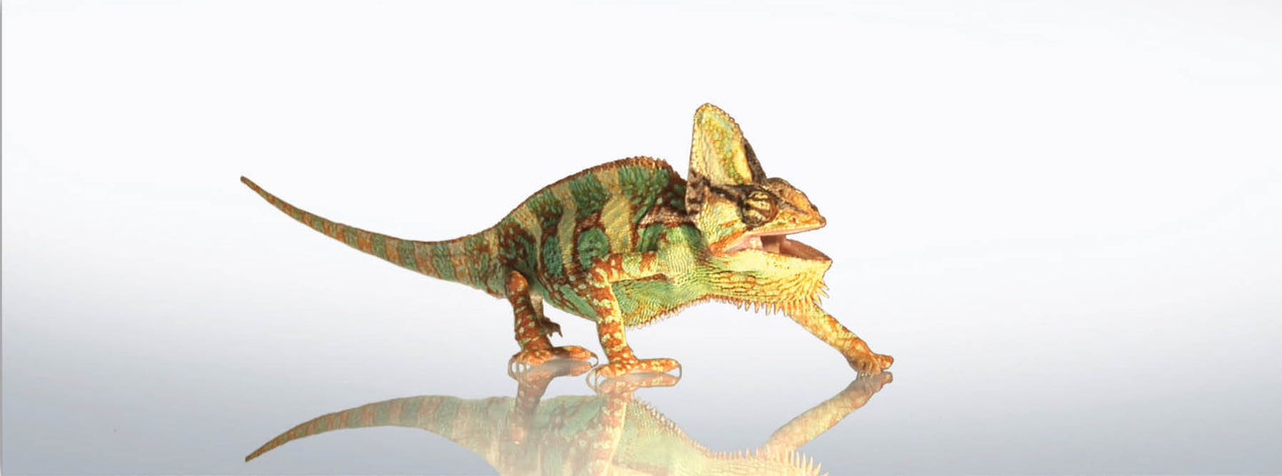SKU : 941 - Chameleon - Motion Bookmark/ 6" Ruler