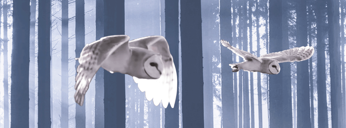 SKU : 945 - Snow Owl - Motion Bookmark/ 6" Ruler