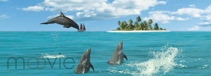 SKU : 810 - Dolphins Jumping - Motion 6" Ruler