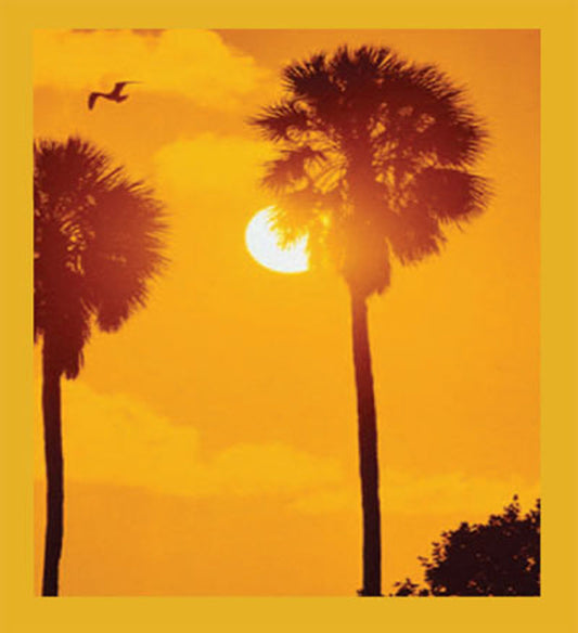 SKU : 00033 - Sabal Palms at Sunset - Magnetic Bookmark
