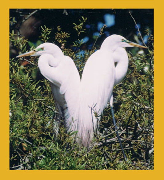 SKU : 00050 - Great Egrets - Magnetic Bookmark