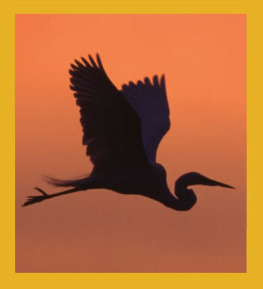 SKU : 00095 - Egret Silhouette at Sunrise - Magnetic Bookmark