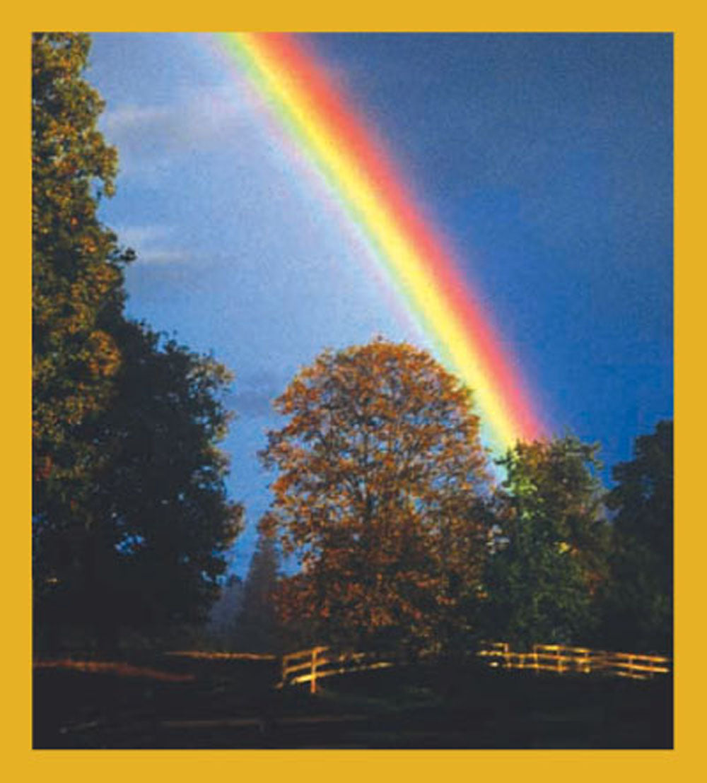 SKU : 00607 - Rainbow - Magnetic Bookmark