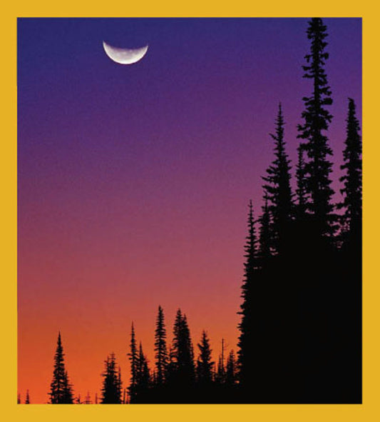 SKU : 00626 - Moon Over Forest - Magnetic Bookmark