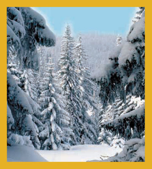 SKU : 00630 - Snowy Forest - Magnetic Bookmark