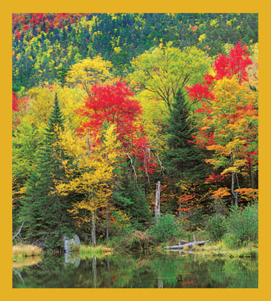 SKU : 01215 - Fall At The Lake - Magnetic Bookmark