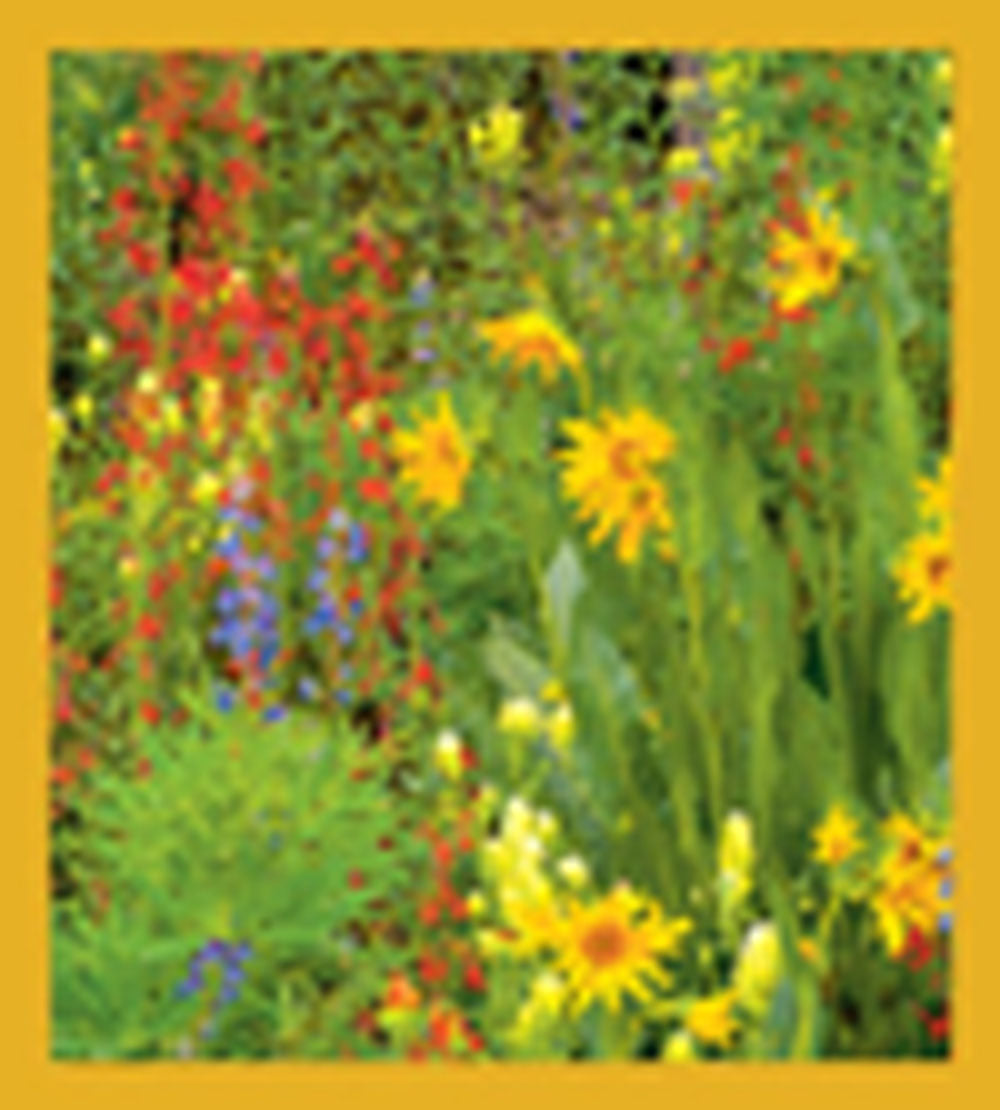 SKU : 02108 - Wildflower Cluster - Magnetic Bookmark