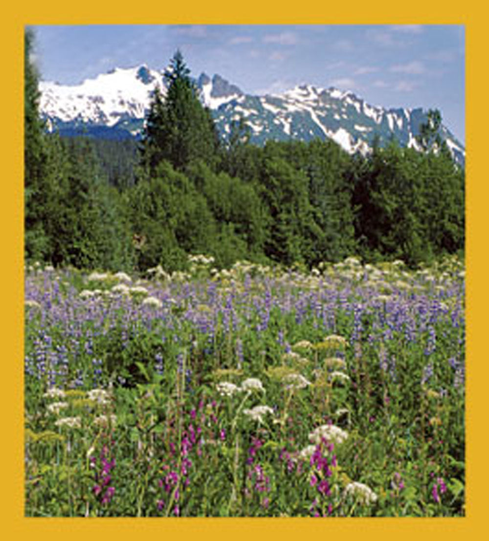 SKU : 06026 - Alaskan Bloom - Magnetic Bookmark