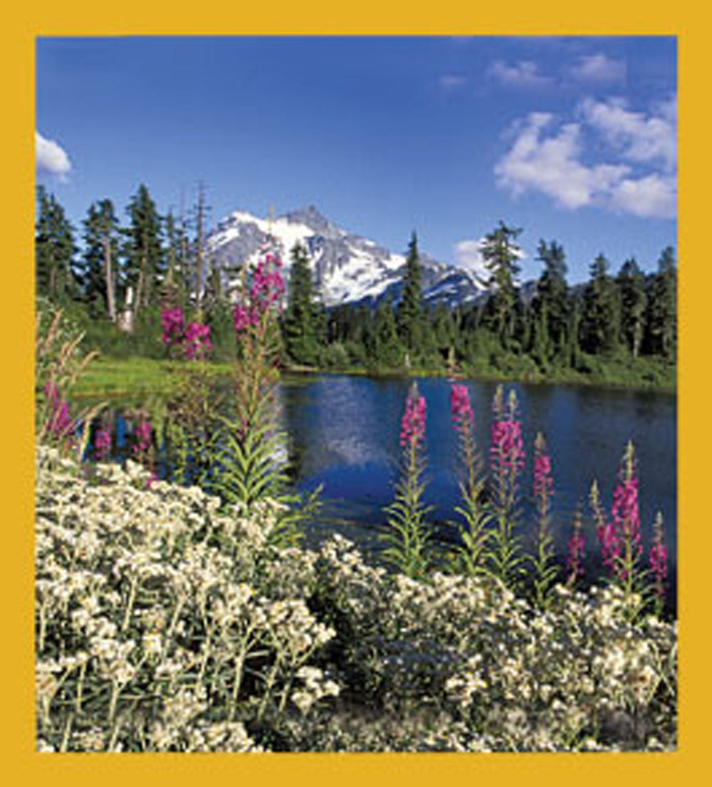 SKU : 06032 - Wildflowers at Mount Shushkan, WA - Magnetic Bookmark
