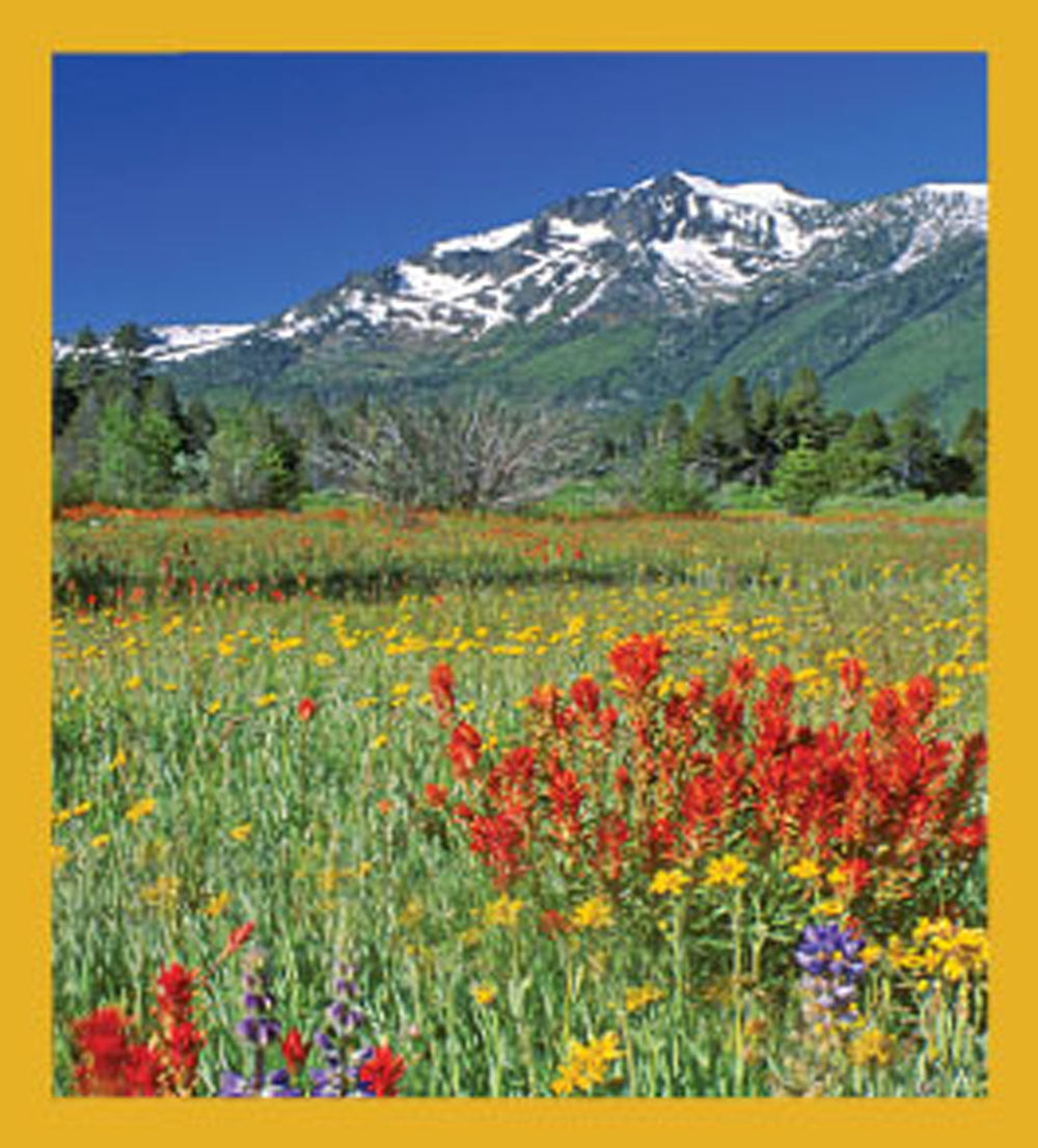 SKU : 06037 - Mount Tallac, Lake Tahoe - Magnetic Bookmark