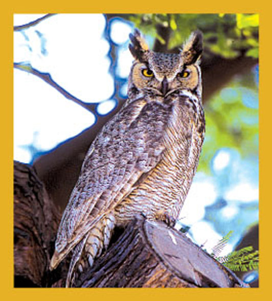 SKU : 06195 - Great Horned Owl - Magnetic Bookmark