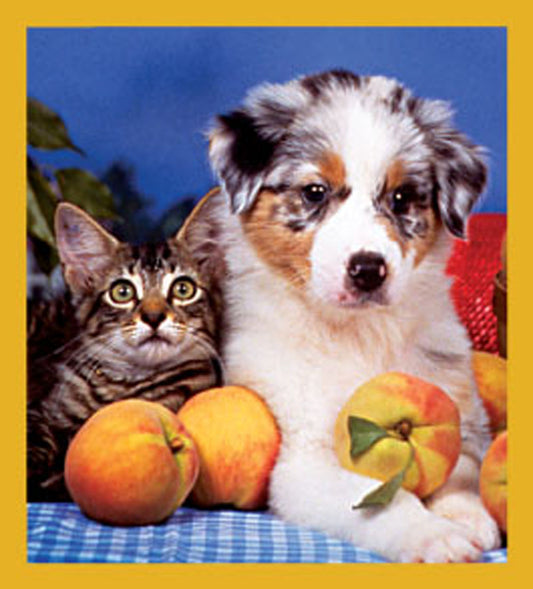 SKU : 06257 - Best Friends - Magnetic Bookmark
