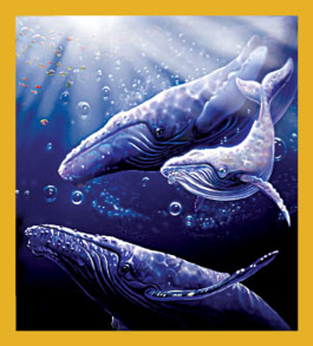 SKU : 06274 - Whale Dive - Magnetic Bookmark