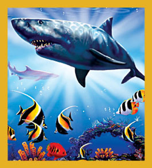 SKU : 06284 - Shark Territory - Magnetic Bookmark