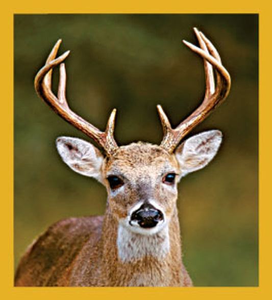 SKU : 06490 - White-Tailed Deer - Magnetic Bookmark