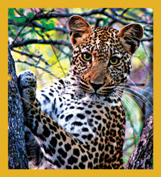 SKU : 06589 - Leopard - Magnetic Bookmark