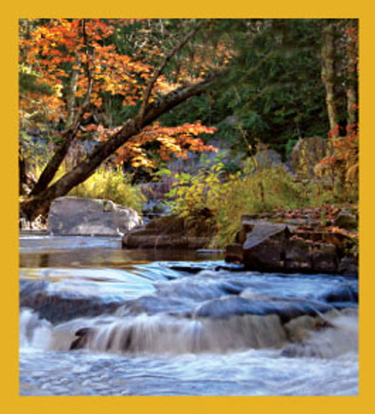 SKU : 06640 - Tranquility - Magnetic Bookmark