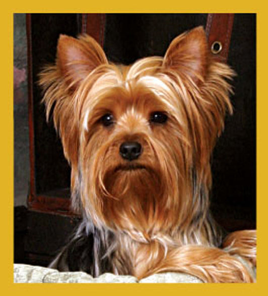 SKU : 06739 - Yorkshire Terrier - Magnetic Bookmark