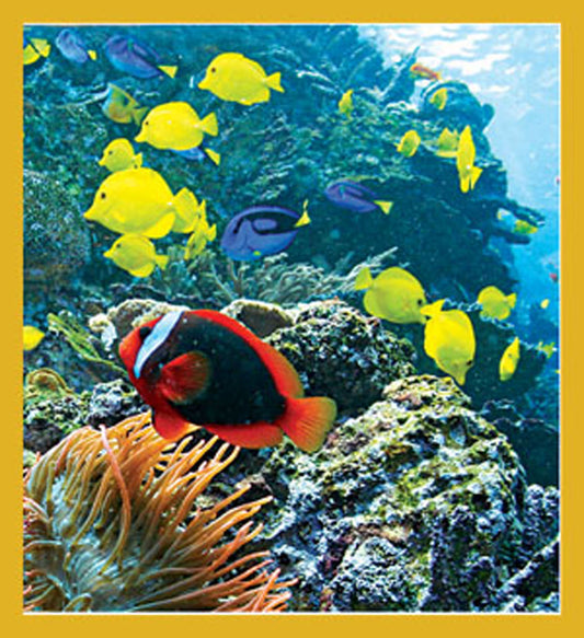 SKU : 06842 - Coral Reef - Magnetic Bookmark