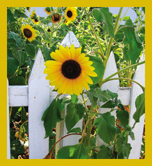SKU : 07158 - Happy Sunflowers - Magnetic Bookmark