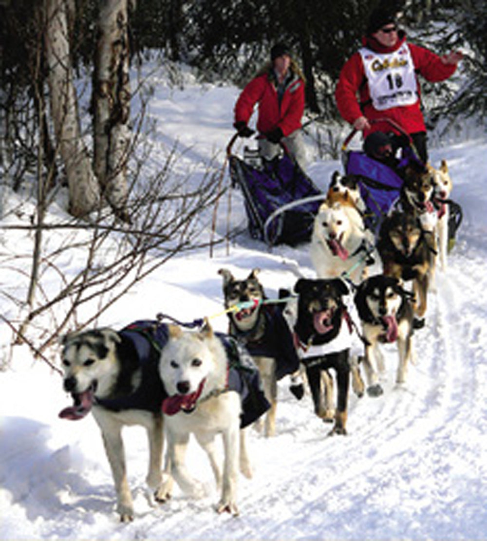 SKU : 07246 - Dog Sled Team - Magnetic Bookmark