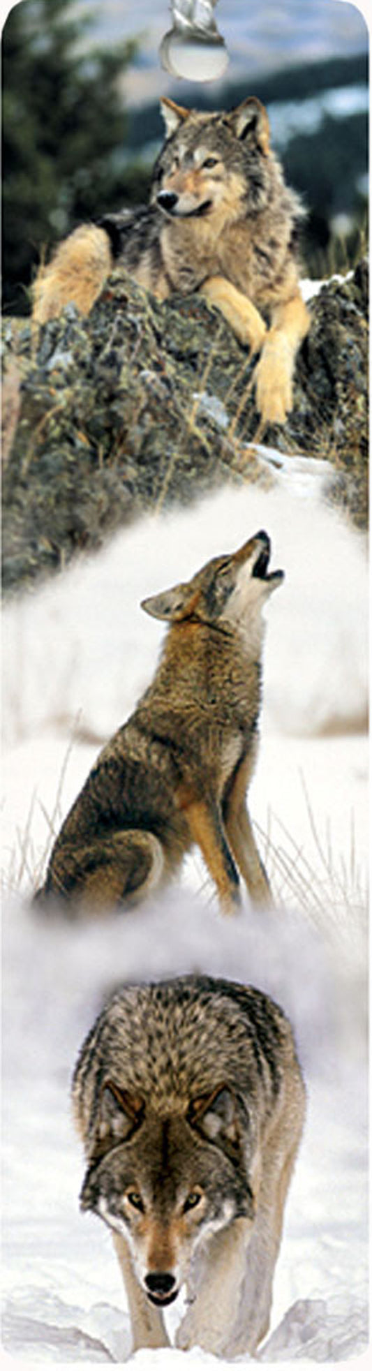 SKU : 15019 - Wild Canines - Tassel Bookmark