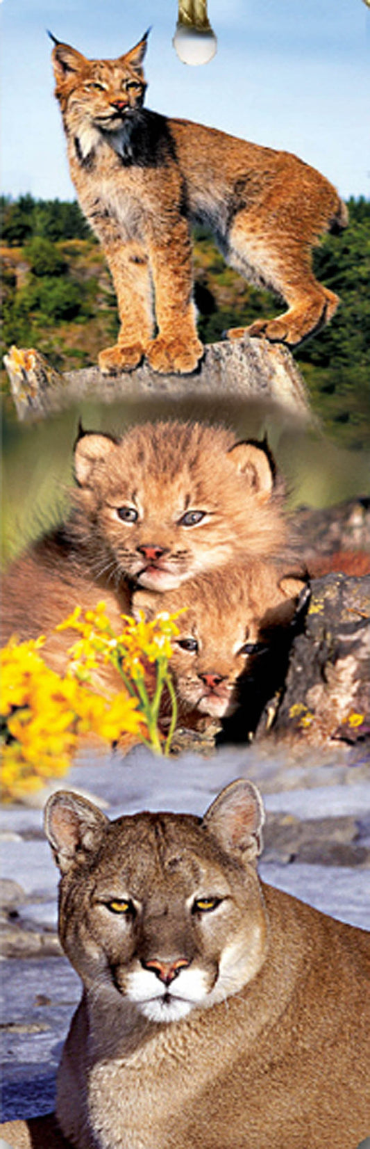 SKU : 15124 - Wild Cats - Tassel Bookmark