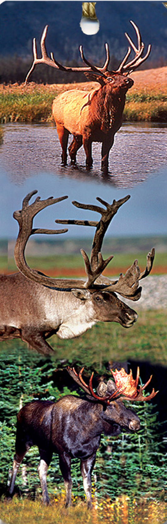 SKU : 15132 - Antlers In Alaska - Tassel Bookmark