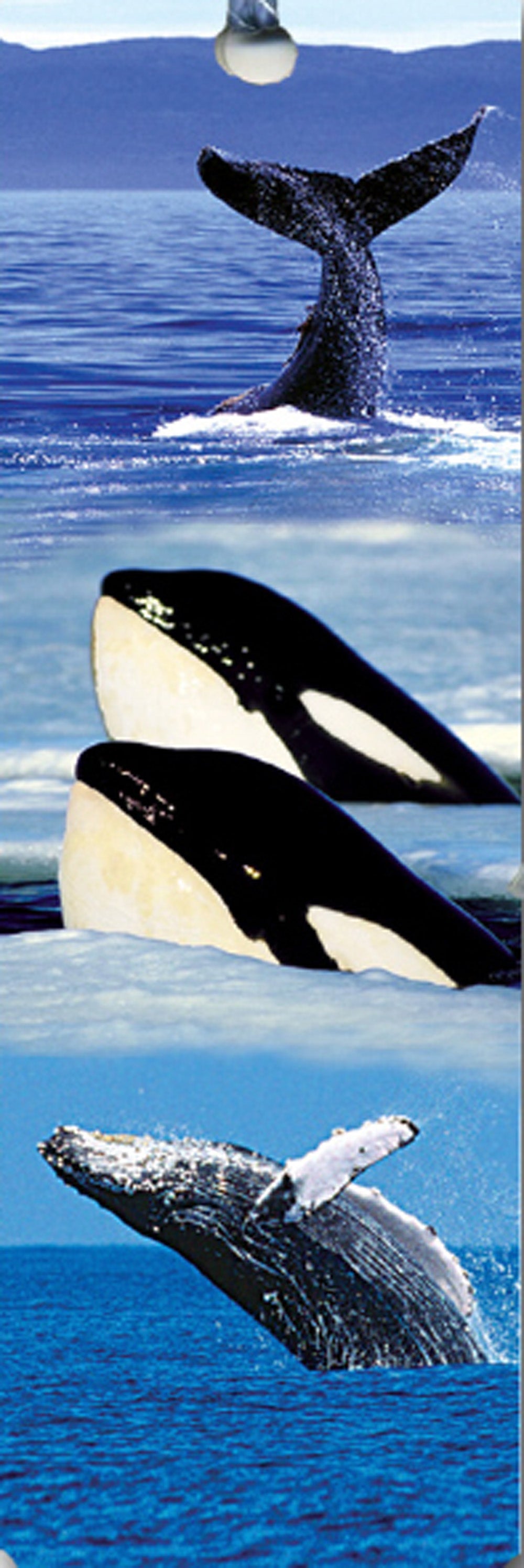 SKU : 15136 - Whales - Tassel Bookmark