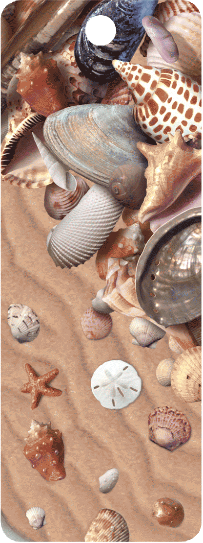SKU : 16103 - She Sells Sea Shells - 3D Bookmark