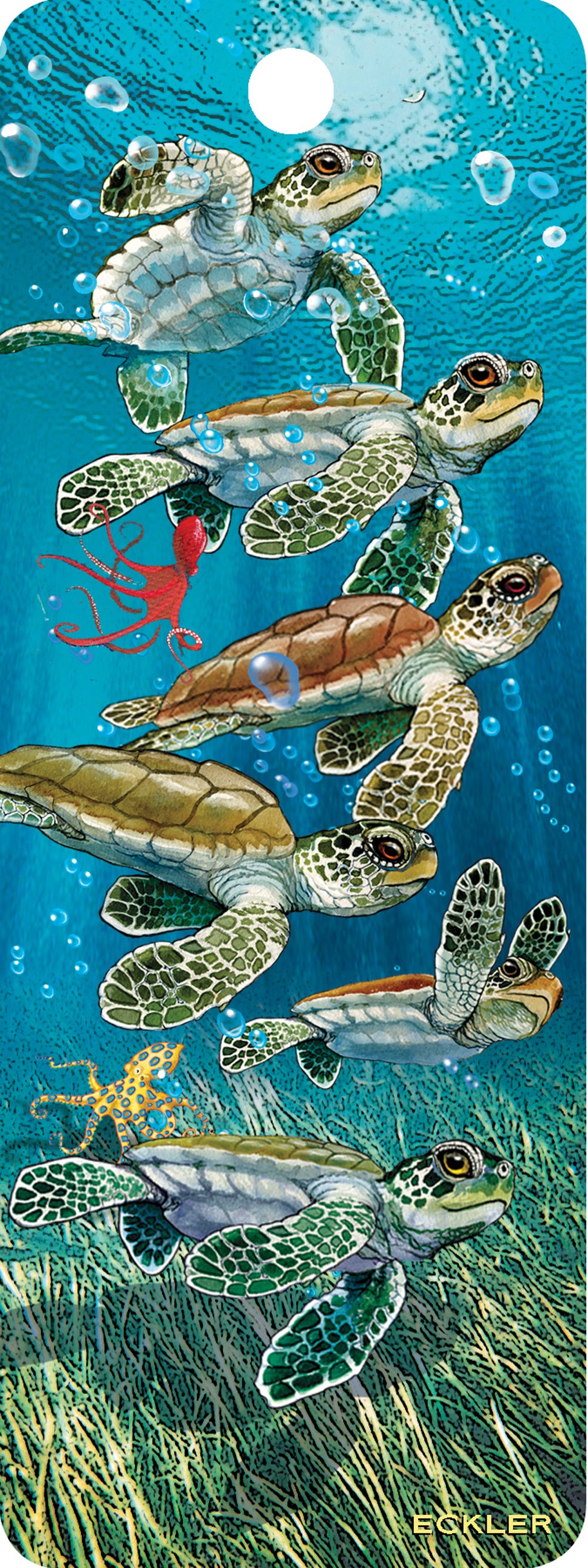 SKU : 16122 - Baby Sea Turtles - 3D Bookmark