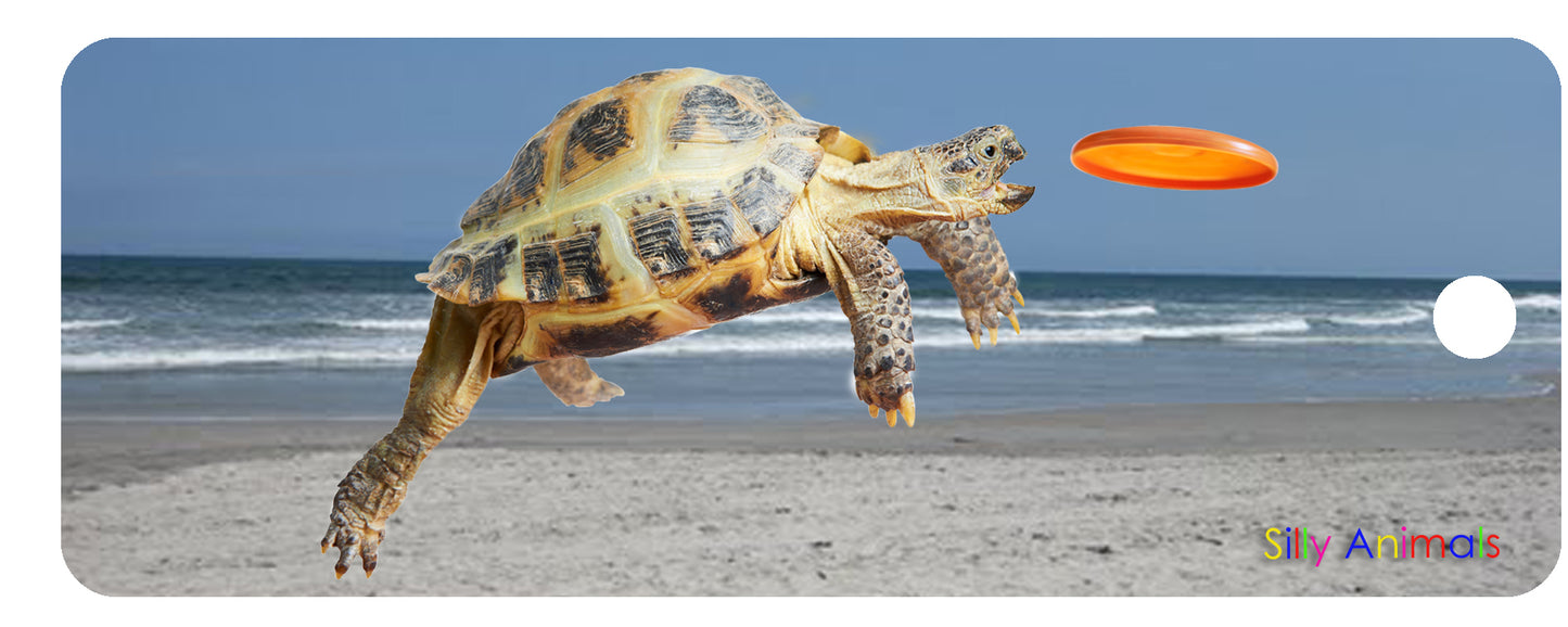 SKU : 16293 - Turtle Frisbee - 3D Bookmark
