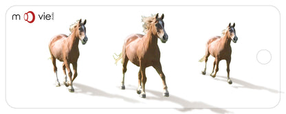 SKU : 16341 - Horses - Clear Motion Bookmark