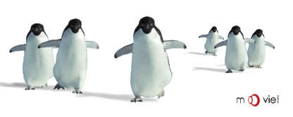 SKU : 16342 - Penguins - Clear Motion Bookmark