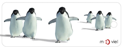 SKU : 16342 - Penguins - Clear Motion Bookmark