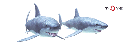 SKU : 16348 - Sharks- Clear Motion Bookmark
