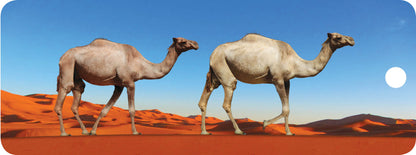 SKU : 16351 - Camels - Motion Bookmark