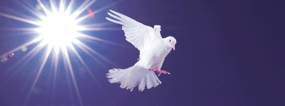 SKU : 16354 - Dove - Motion Bookmark