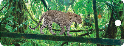 SKU : 16357 - Leopard - Motion Bookmark