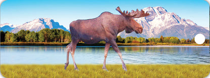SKU : 16375 - Moose Walking - Motion Bookmark