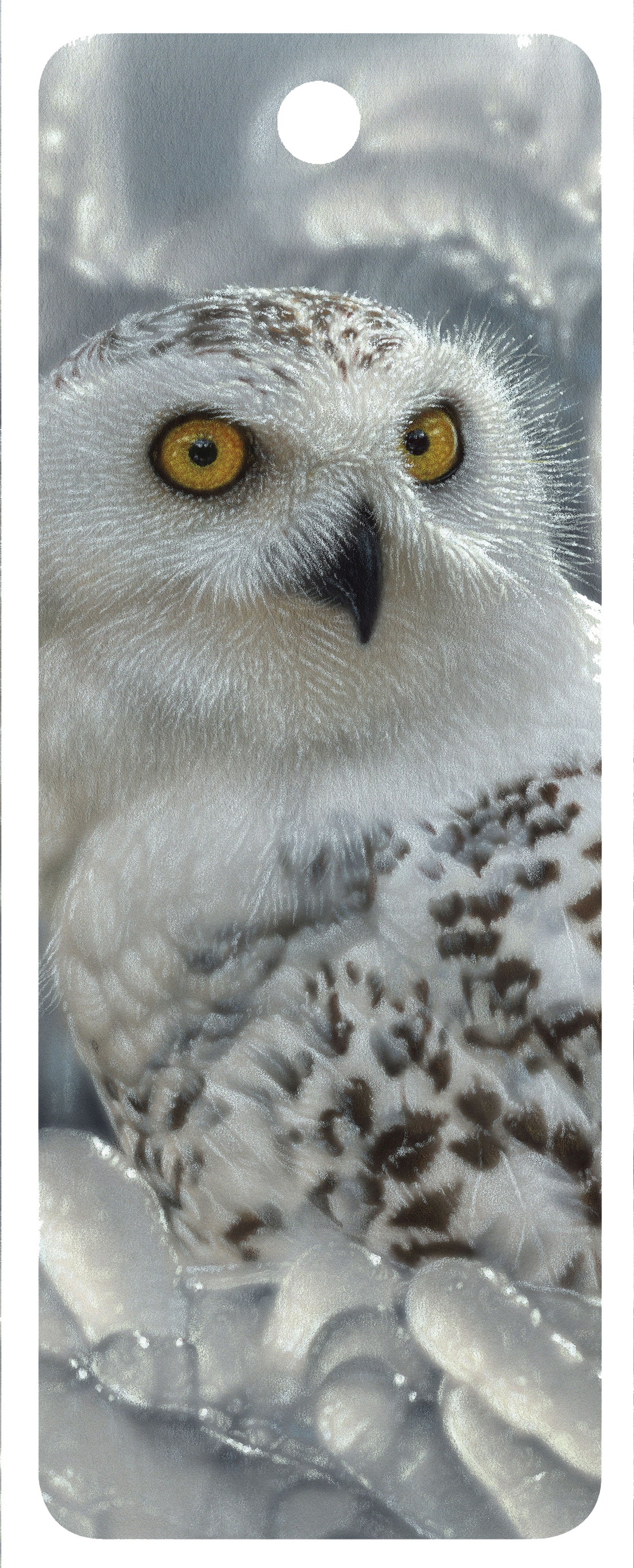 SKU : 16378 - Snow Owl - 3D Bookmark