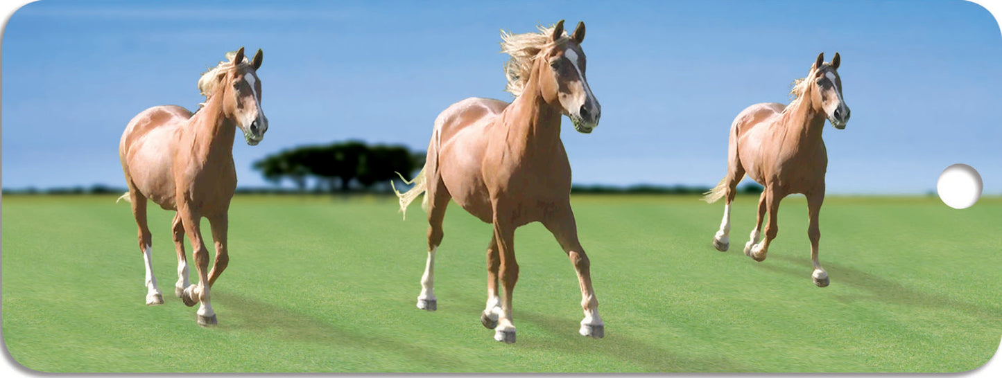 SKU : 16828 - Horses - Motion Bookmark